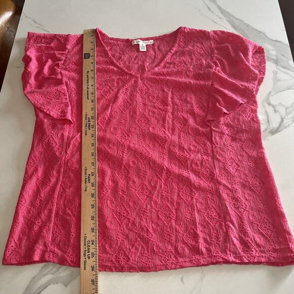 French Laundry Plus Size 2X Pink V Neck Short Ruffle Sleeve Blouse Embroidered - Picture 6 of 11